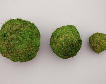 Moss Balls Preserved All Natural (4",6" & 8") - Perfect For Rustic Country Weddings