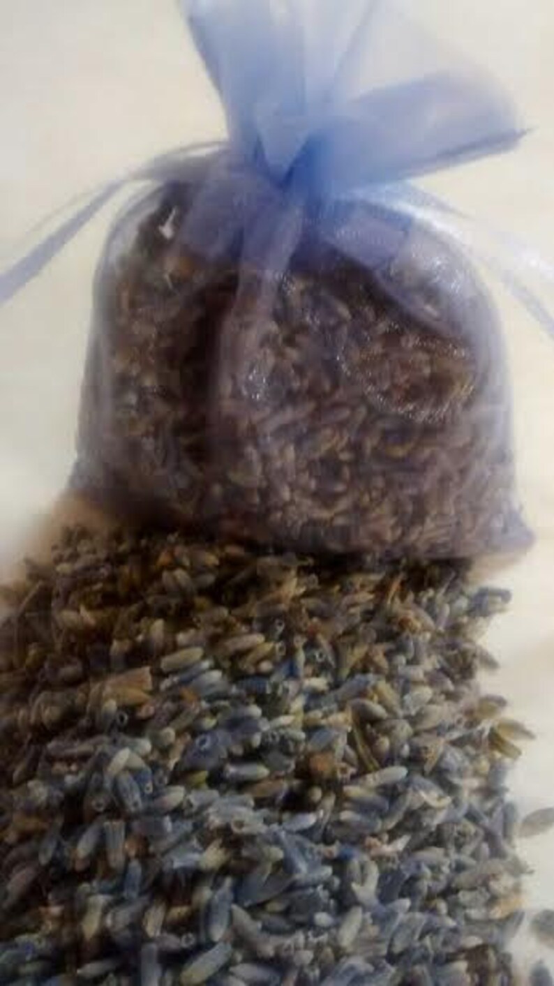 Premium Dried Lavender Flower Bud Sachet Guest Favors Etsy