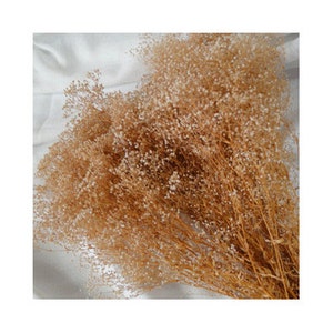 6 Baby's Breath Bunches  (gypsophila) Preserved 18"-22" long - Perfect For Rustic Country Weddings