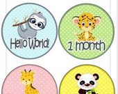 Baby Monthly Milestone Cards for Photos, Animal Babies Wildlife Theme (Digital Download)