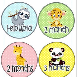 Cartes-photos d'étape mensuelles mignonnes de bébés animaux, cadeau de baby shower, marqueur d'étape mensuelle, accessoires photo pour bébés, disque photo mensuel pour bébé bohème