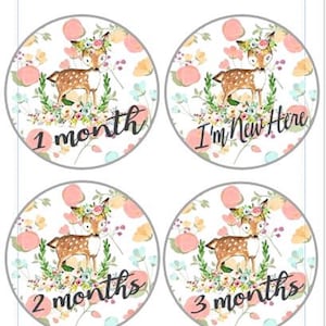 Cartes photo mensuelles pour bébé fille, cerf rose, cadeau de baby shower, marqueur d'étape importante, accessoires photo bébé, disque photo mensuel bébé bohème