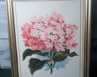 Cottagecore Hydrangea Wall Art Prints, Vintage Floral Decor (PDF)