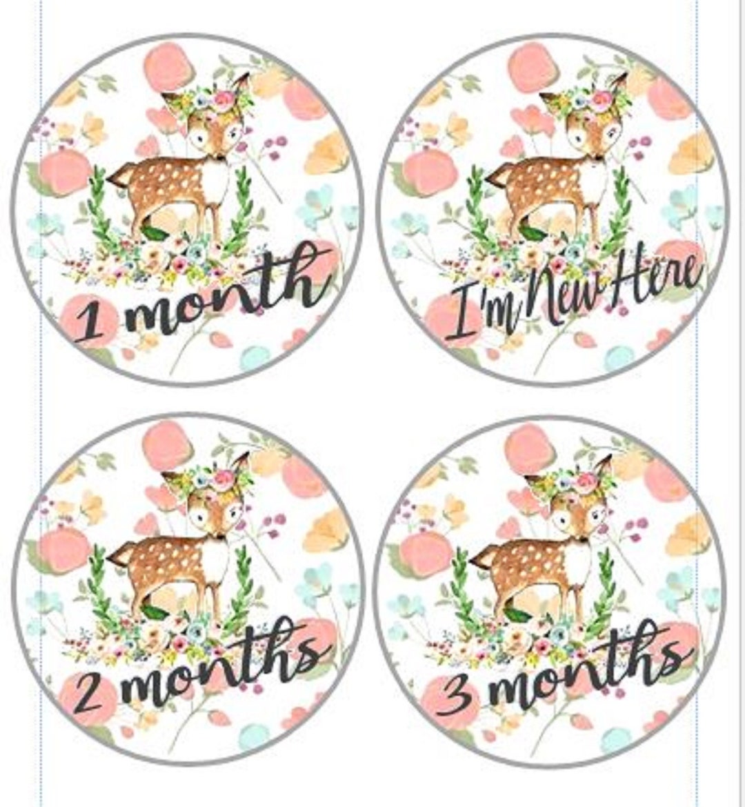 Baby Monthly Milestone Cards for Photos, Pink Baby Deer Theme(digital ...