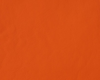 Orange Clown Collar
