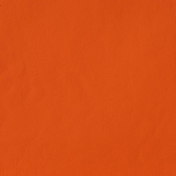 Orange Clown Collar