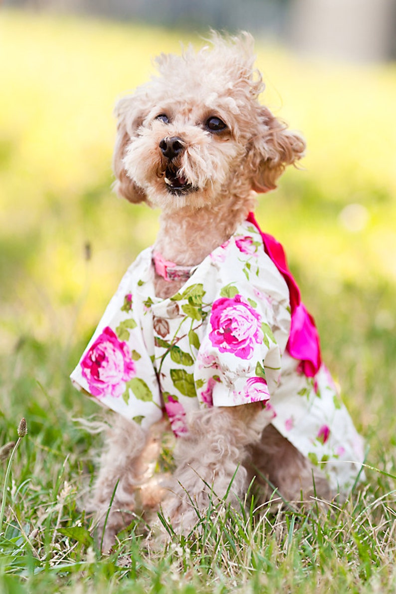 Custom Made Dog Japanese Style Kimono image 3