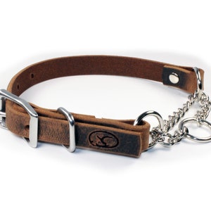 3/4" Small Dog Adjustable Leather Martingale Chain Dog Collar