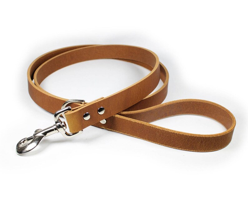 Sport Style Earth Brown Leather Leash