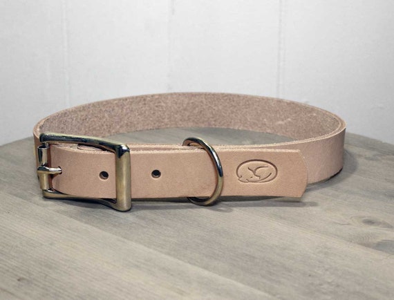 thick leather dog collars