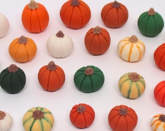 Miniature assorted pumpkins random grab bag - Handmade polymer clay dollhouse miniatures