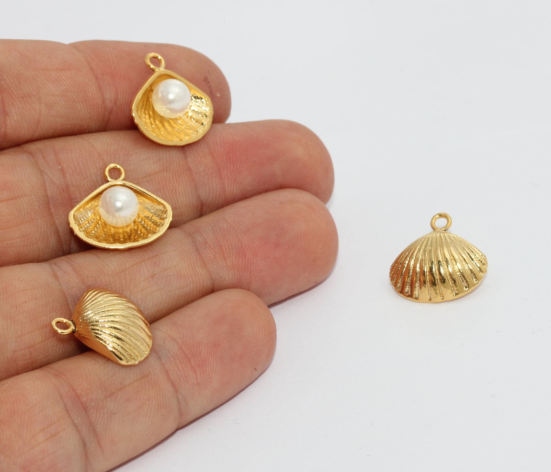 Sea Shell Charm Seashell Charm Oyster 