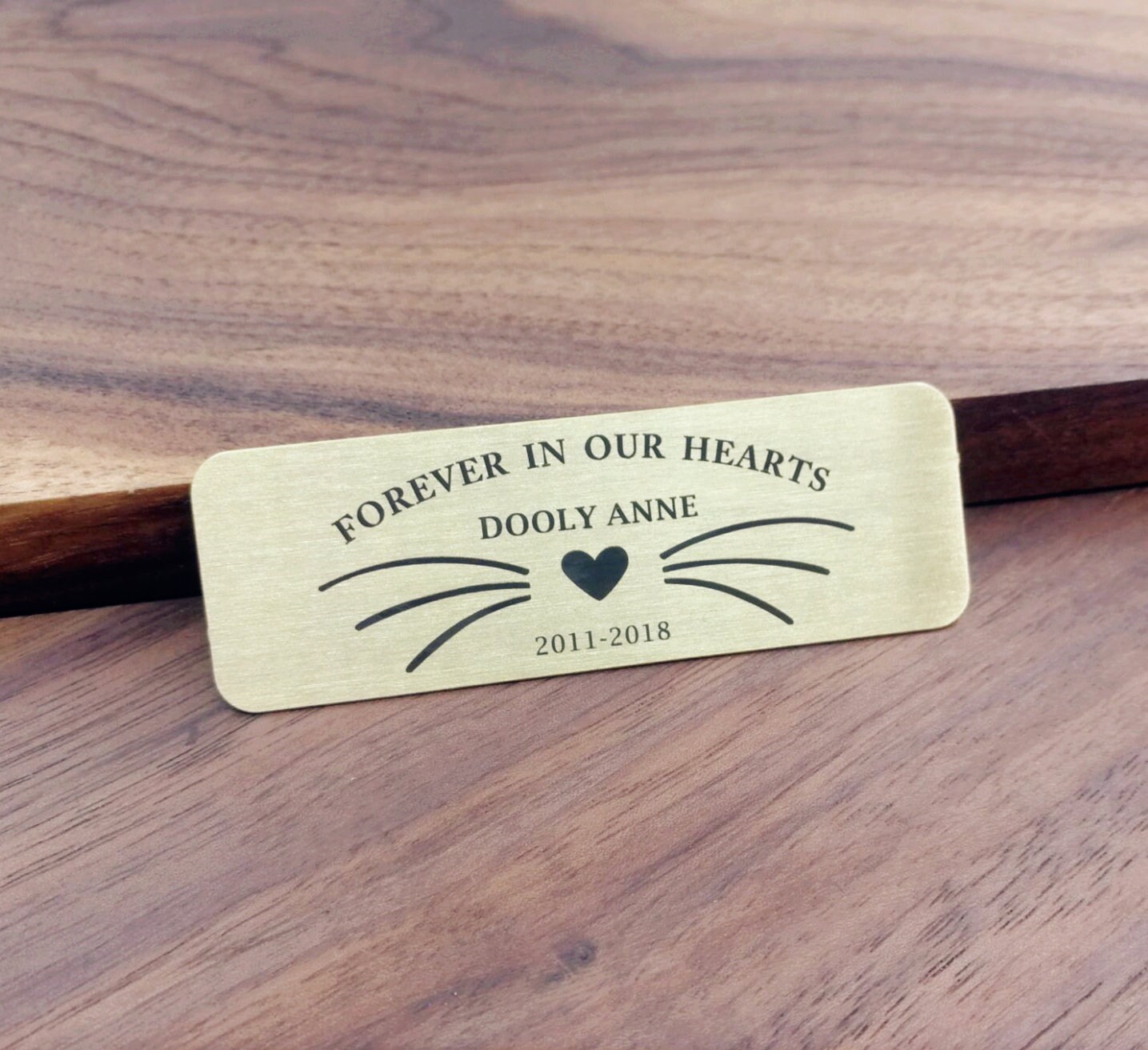 Personalized Pet cat or dog Nameplate custom engraved name Etsy