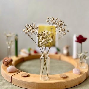 Glas Vase Stecker für Jahresringe - passend für Grimms oder Dille und Kamille