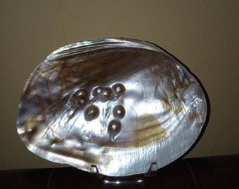 Giant Half Oyster Full of Embedded Pearls display piece