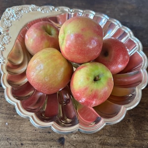 May include: A silver-colored, scalloped-edge serving dish filled with five apples. The apples are a mix of red, yellow, and green, with a glossy finish. The dish has an ornate, embossed design around the rim. The arrangement is on a dark wooden surface.