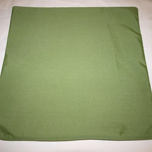 Throw Pillow Cover size 19x19 made with sunbrella fabric spectrum cilantro 48022