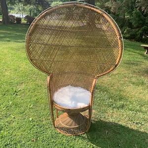 Vintage Peacock Chair