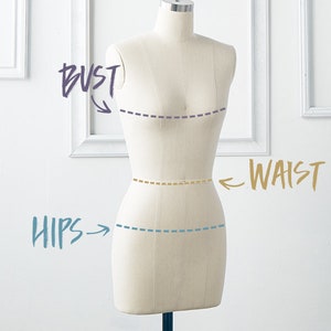 May include: A white dress form with dashed lines indicating bust, waist, and hip measurements.