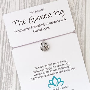 Bracelet de voeux de cochon d'Inde : breloque en argent antique, cadeau d'amitié