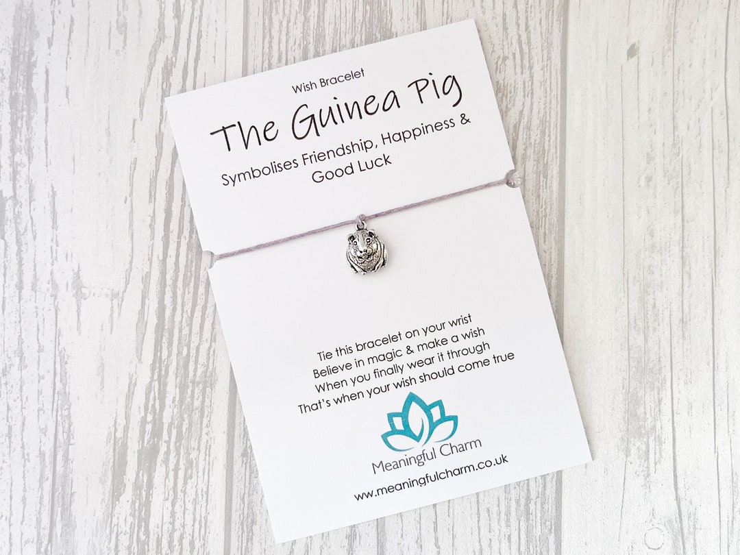 Image showcasing Guinea Pig Bracelet, Spirit Animal, Motivational Gift, Wish Bracelet ...