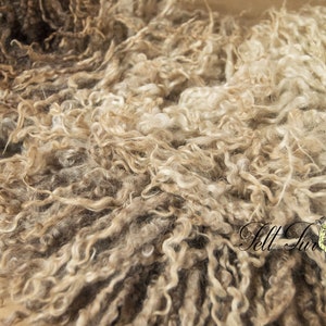 May include: Close-up of raw wool in shades of brown and cream. The wool has a curly, textured appearance, with varying tones creating depth. The image is well-lit, highlighting the natural fibers. The logo "Felt Fur" is visible in the bottom right corner.