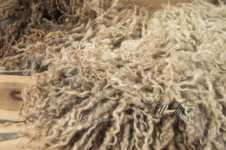 May include: Close-up of raw wool in shades of brown and cream. The wool has a curly, textured appearance, with varying tones creating depth. The image is well-lit, highlighting the natural fibers. The logo "Felt Fur" is visible in the bottom right corner.