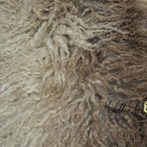 May include: A close-up of a sheepskin rug with a mix of light beige and brown tones. The wool has a curly texture, creating a soft and inviting appearance. The rug is likely used for home decor.