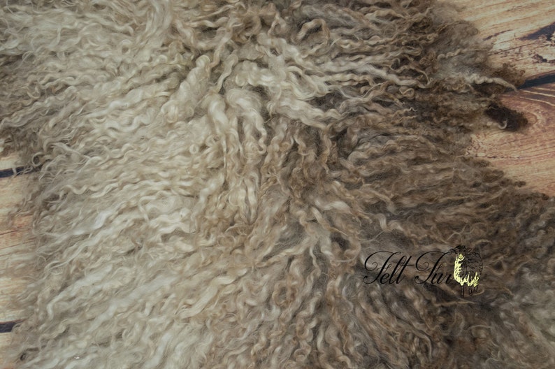 May include: A close-up of a sheepskin rug with a mix of light beige and brown tones. The wool has a curly texture, creating a soft and inviting appearance. The rug is likely used for home decor.