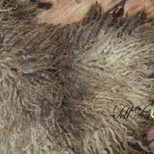 May include: Close-up of a sheepskin pelt with a mix of light and dark brown curly wool. The texture is dense and wavy, with variations in color and depth. The background is a wooden surface.
