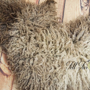 May include: A close-up of a sheepskin pelt with a curly, textured appearance. The pelt features a mix of brown, tan, and cream colors. The image is taken on a light brown wooden surface. The text "Felt Fur" is visible in the image.
