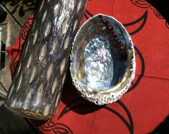 Craft supply,Abalone Shell,6 inch to 7 inch,Smudge Shell,Smudge Tray,Seashell,Shell,Greenman Organics,BoHo,Natural Shell,Pagan,Altar Tool,