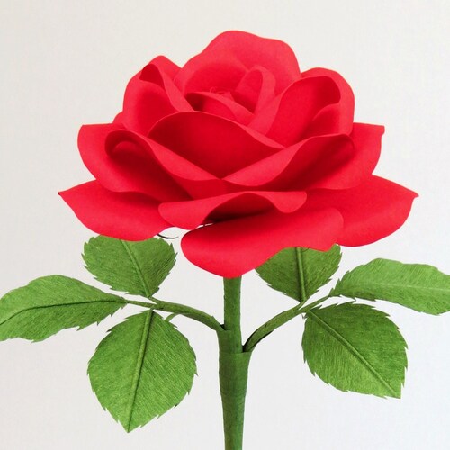 Paper Cotton Rose for Cotton Anniversary Gift for Her / Etsy