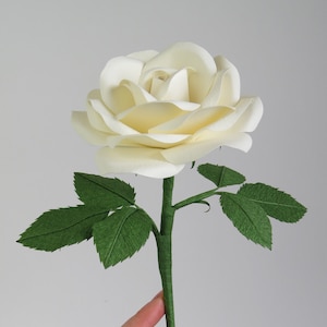 Paper Cotton Rose for Cotton Anniversary Gift for Her / Traditional Second Anniversary Gift of White Cotton Flower for 2nd Anniversary Gift