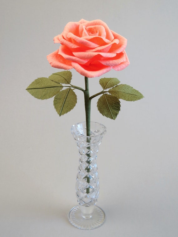 Coral Rose Coral Wedding Anniversary Gift for Her Unique 35th