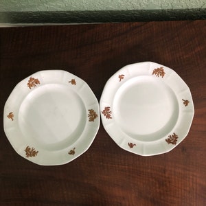 Two Staffordshire Antique White Ironstone Plates, Berry Cluster, Chelsea Grape Lustre, Grandmother&#39;s Ware