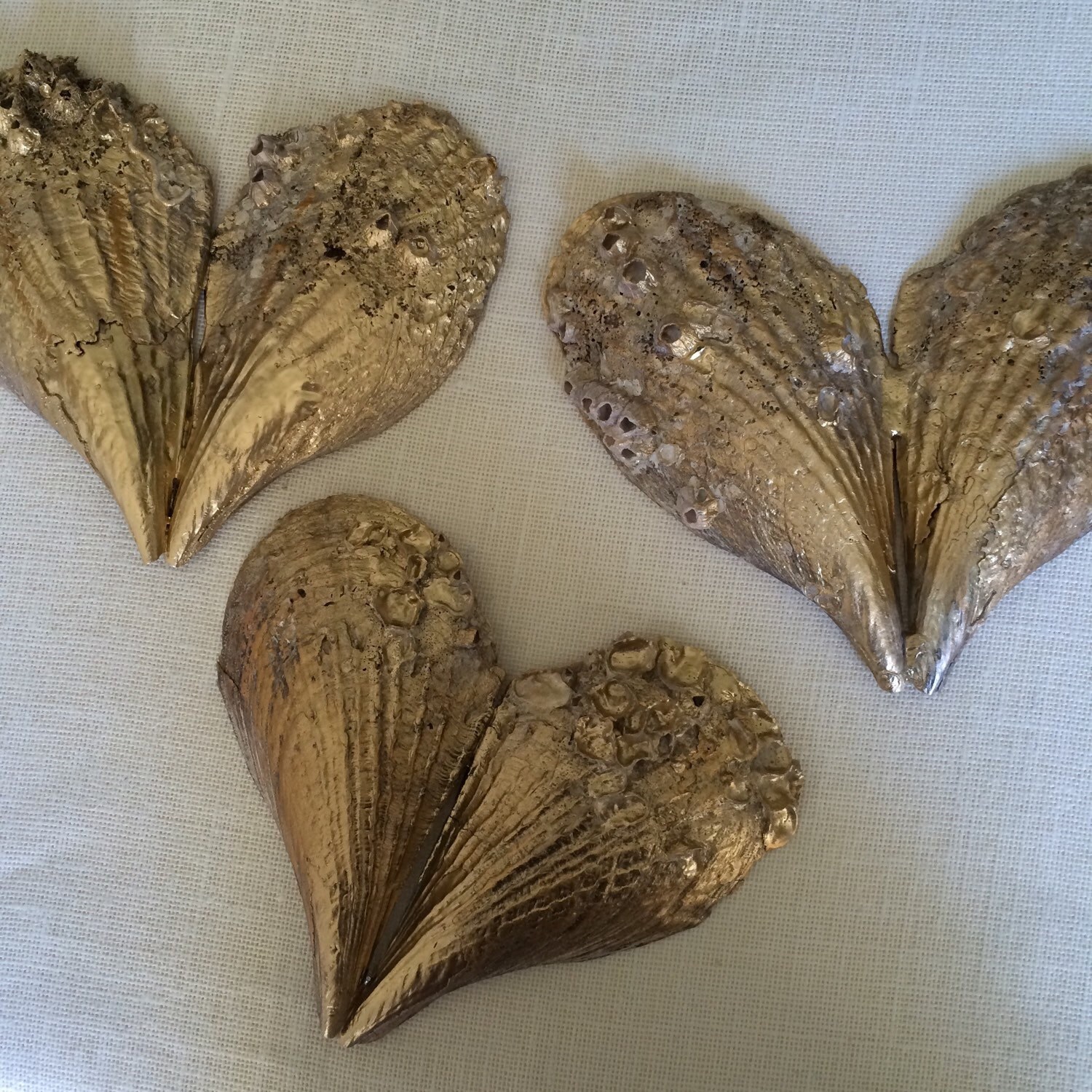 Rustic Beach Wedding Decor Gold Seashells Pen Shells
