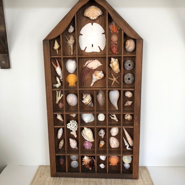 Vintage Shadowbox Large Wood Curio Shadow Box Memory Box