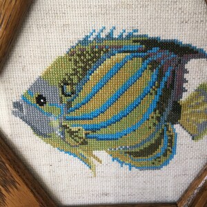 Download Eingerahmte muscheln kuesten strand wandkunst For Android Free Eingerahmte Muscheln Kuesten Strand Wandkunst