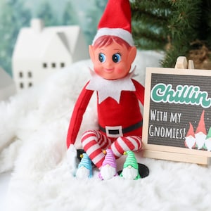 May include: A red and white elf doll with a pointed hat and striped leggings sits next to a small wooden easel sign that reads Chillin' with my Gnomies! in green and white text. Three tiny colorful gnome figurines in blue, purple, and green sit below.
