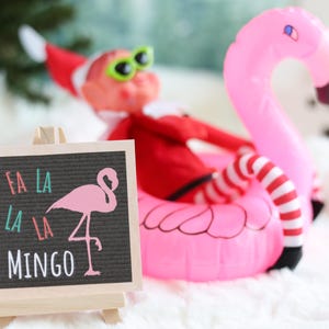 May include: A Christmas elf wearing sunglasses and a Santa hat is sitting in a pink inflatable flamingo pool float. A small chalkboard sign reads "Fa La La La Mingo".