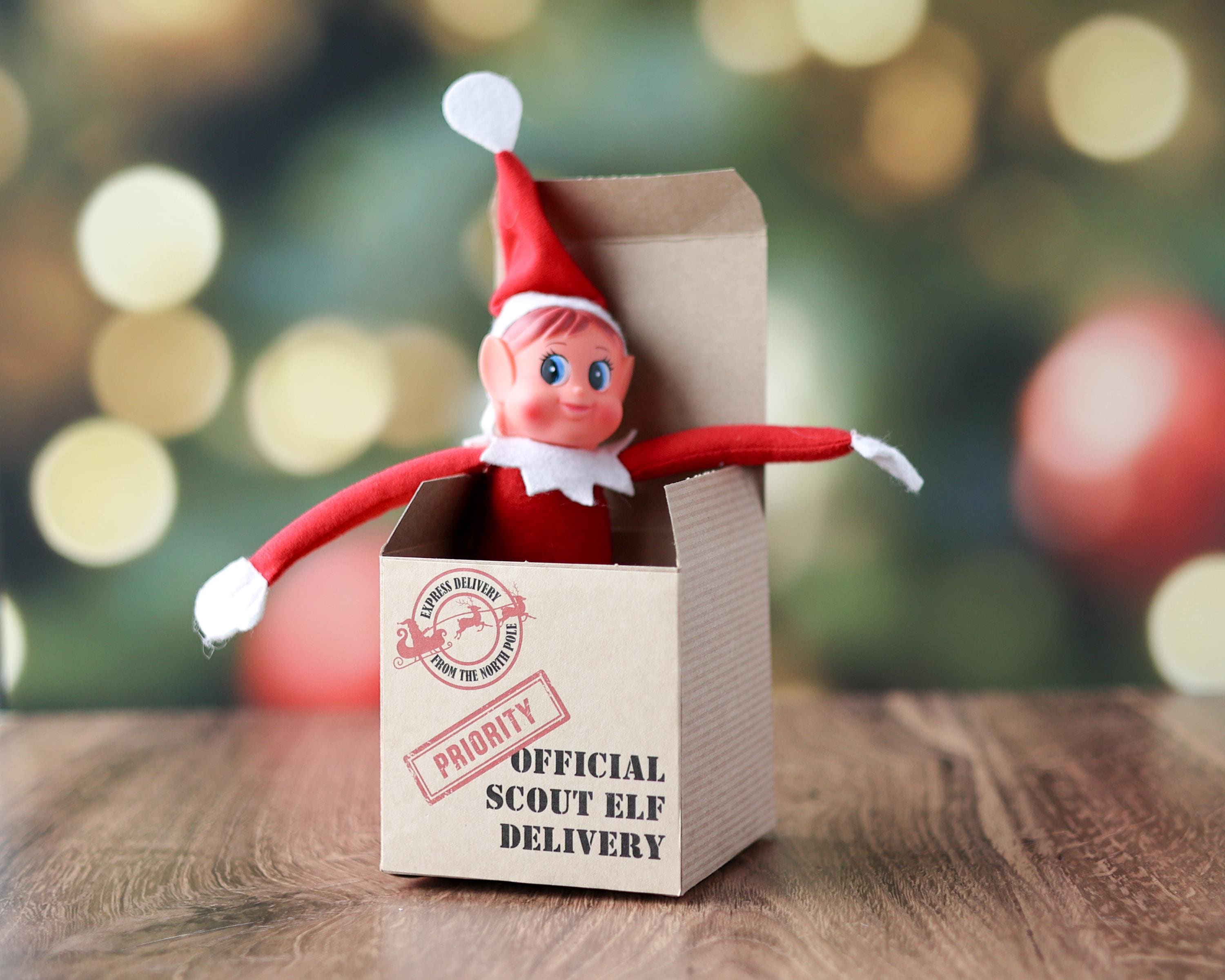 Elf Treat Box Canada