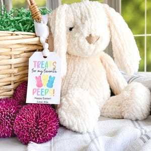 Puede incluir: Un conejito de peluche blanco se sienta en una manta a rayas junto a una cesta de mimbre llena de hierba verde. Una etiqueta de regalo con el texto "Treats for my favorite peeps! Happy Easter! Love, Ella" est&aacute; unida a la cesta.