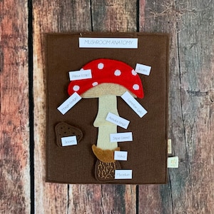 DIGITAL PATTERN mushroom set, nature study, homeschool, home education, fungus, montessori learning, unit study, curriculum, science