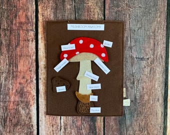 DIGITAL PATTERN mushroom set, nature study, homeschool, home education, fungus, montessori learning, unit study, curriculum, science