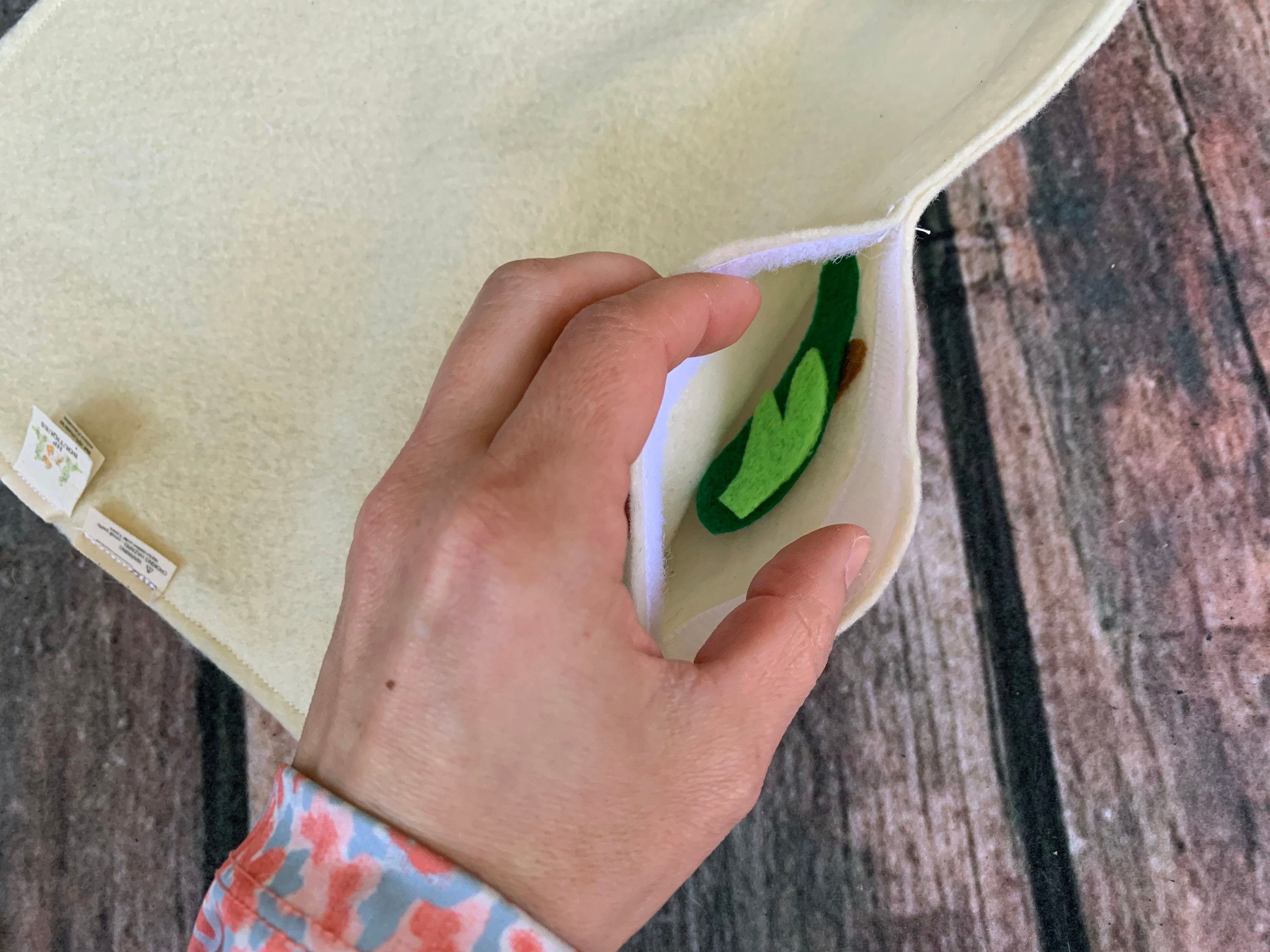 Blueberry Anatomy, Berry Puzzle, Plant Study, Charlotte Mason, Homeschool, Home Education