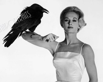 TIPPI HEDREN 5x7 or 8x10 Photo Print Hollywood 1963 "The Birds" Crow, Vintage Golden Age of Hollywood Publicity Portrait