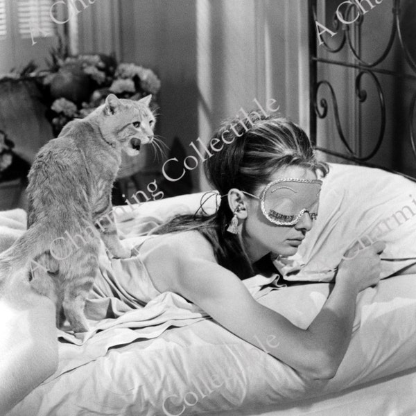 Audrey Hepburn with Cat Named Orangey 5x7, 8x10, 11x14 Photo Print Hollywood Classic Wall Hanging Art Home Decor Print Breakfast at Tiffanys