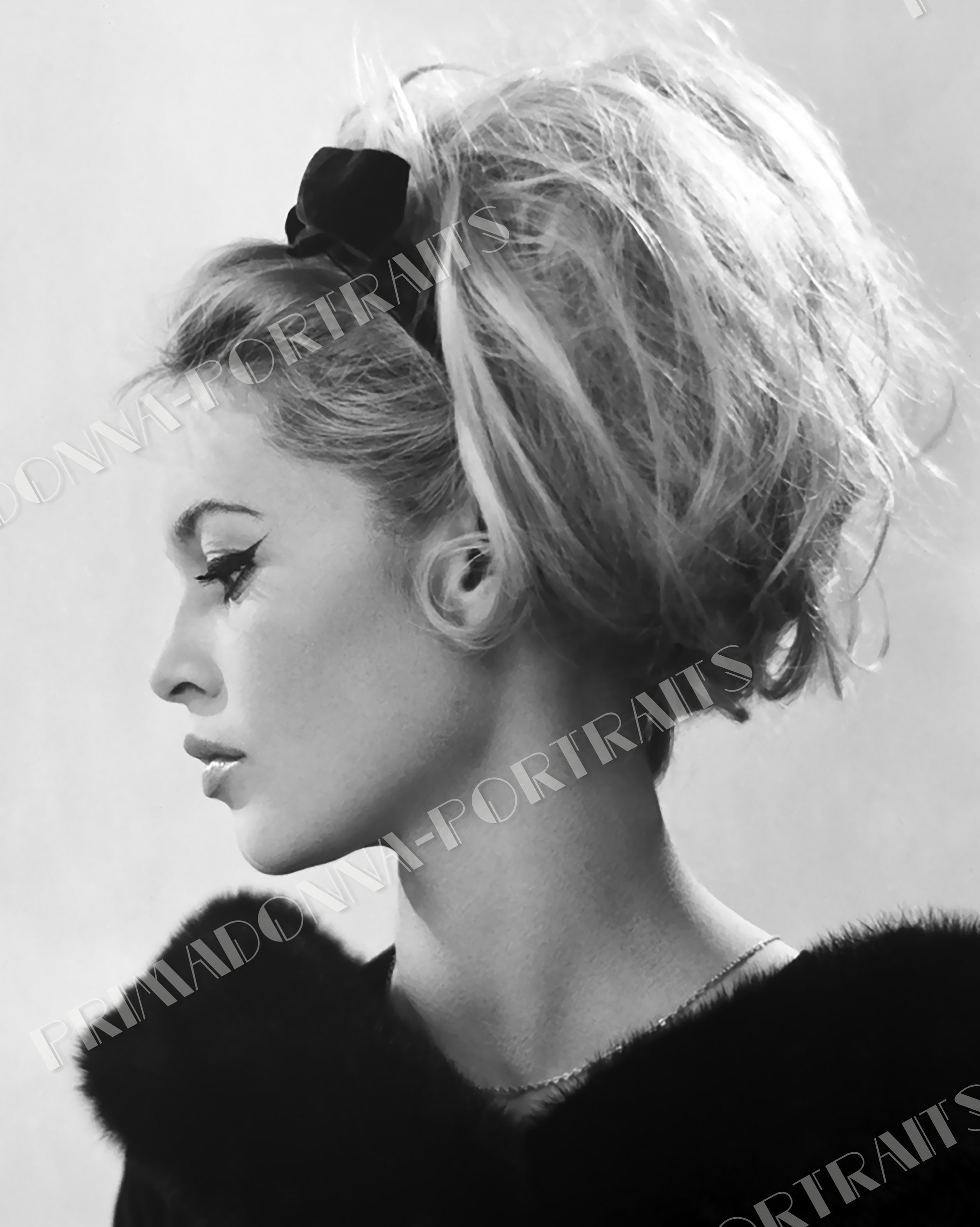 Brigitte Bardot ピクチャーレコード　非売品フォトブックレット付き BRIGITTE BARDOT 5x7 or 8x10 Photo Print Hollywood 1960s Side