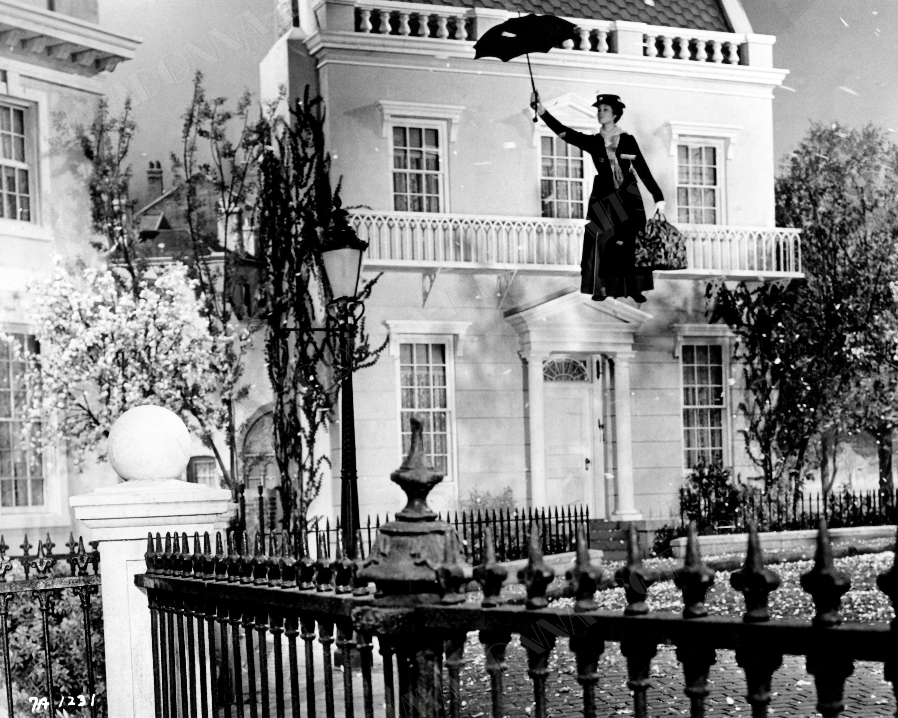 JULIE ANDREWS 5x7, 8x10 1964 Impresión fotográfica \, image size:3000x2400